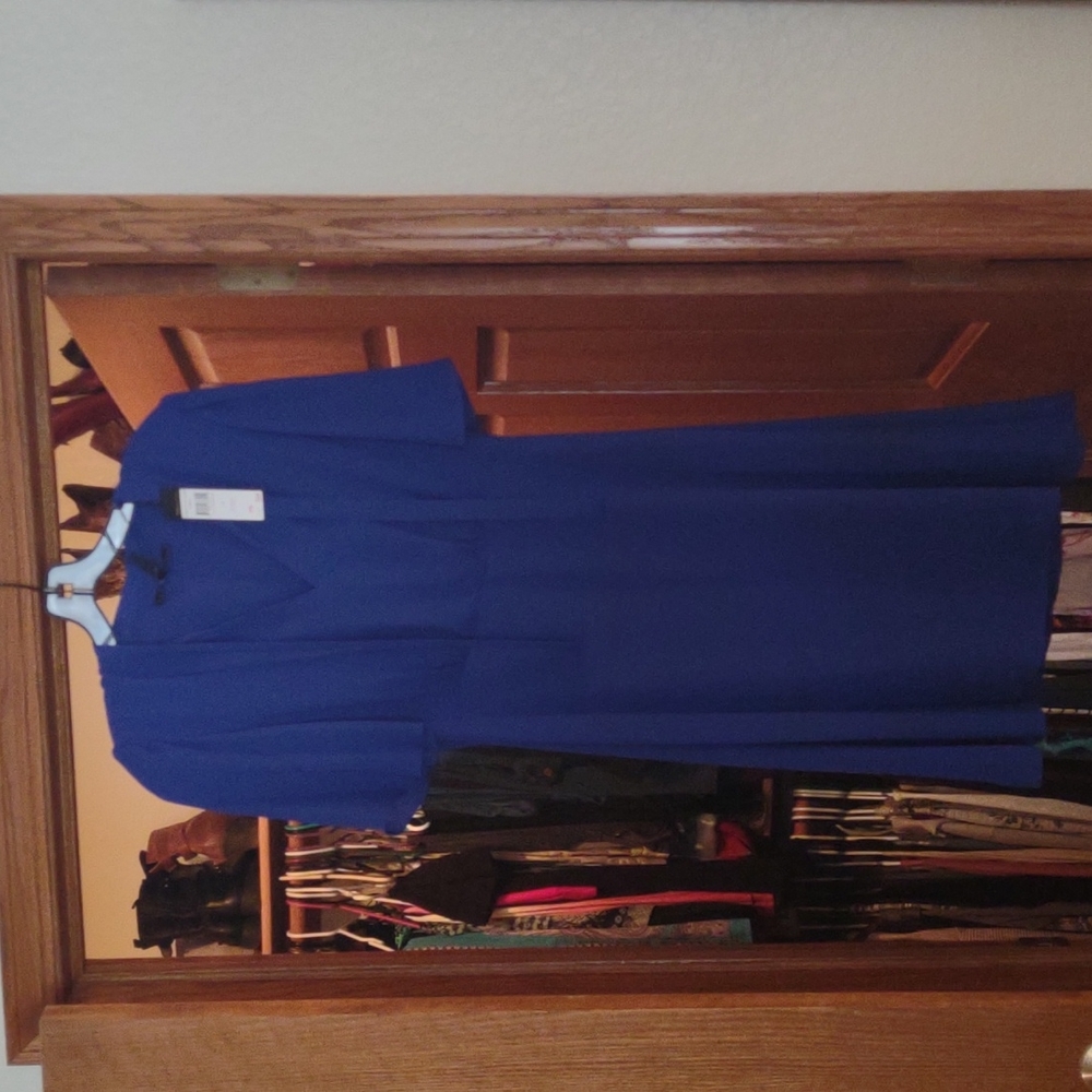 BCGB Dress